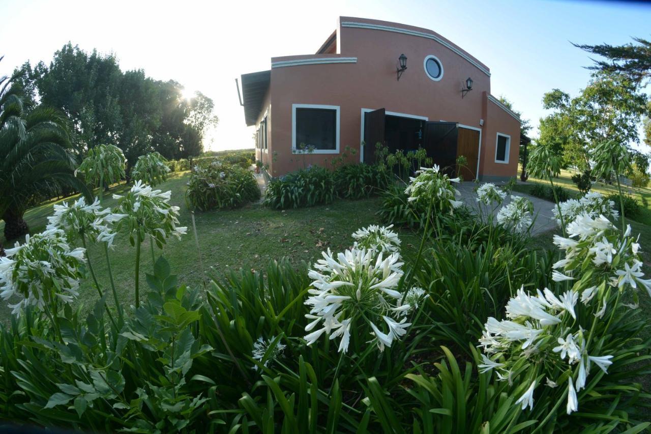 Appartement La Monturera, Loft de campo à Colonia del Sacramento Extérieur photo