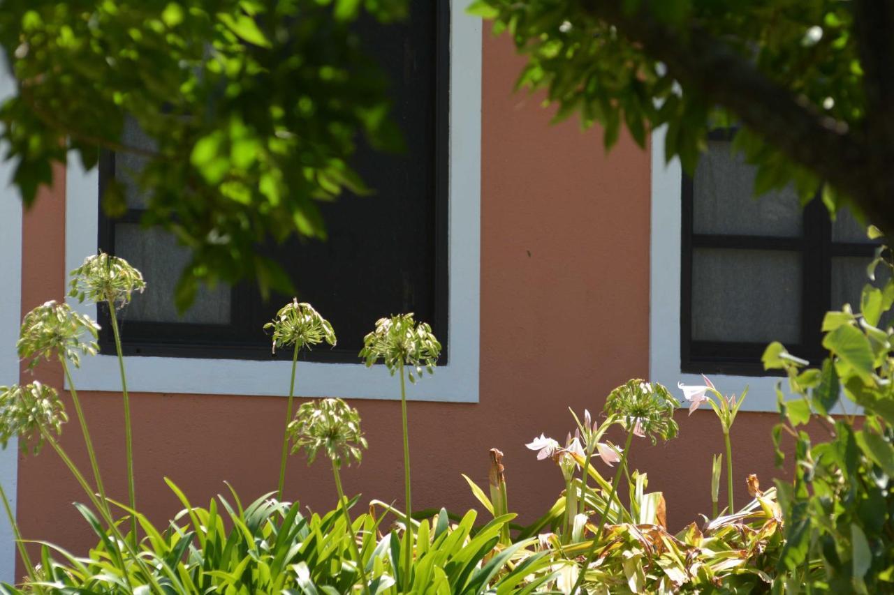 Appartement La Monturera, Loft de campo à Colonia del Sacramento Extérieur photo