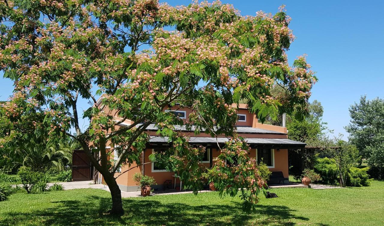 Appartement La Monturera, Loft de campo à Colonia del Sacramento Extérieur photo